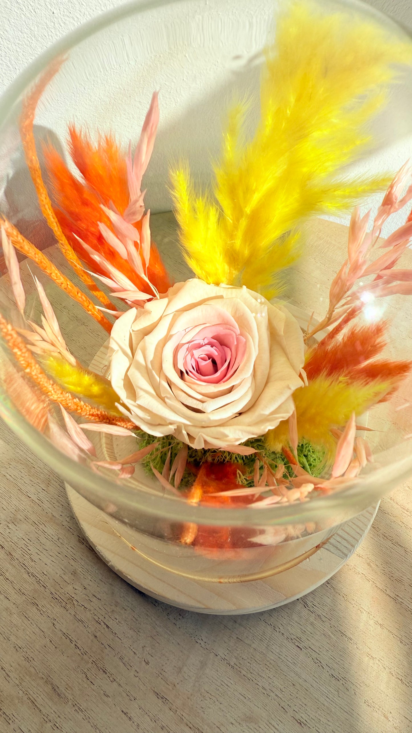 Cloche Rose éternelle bicolore & fleurs séchées