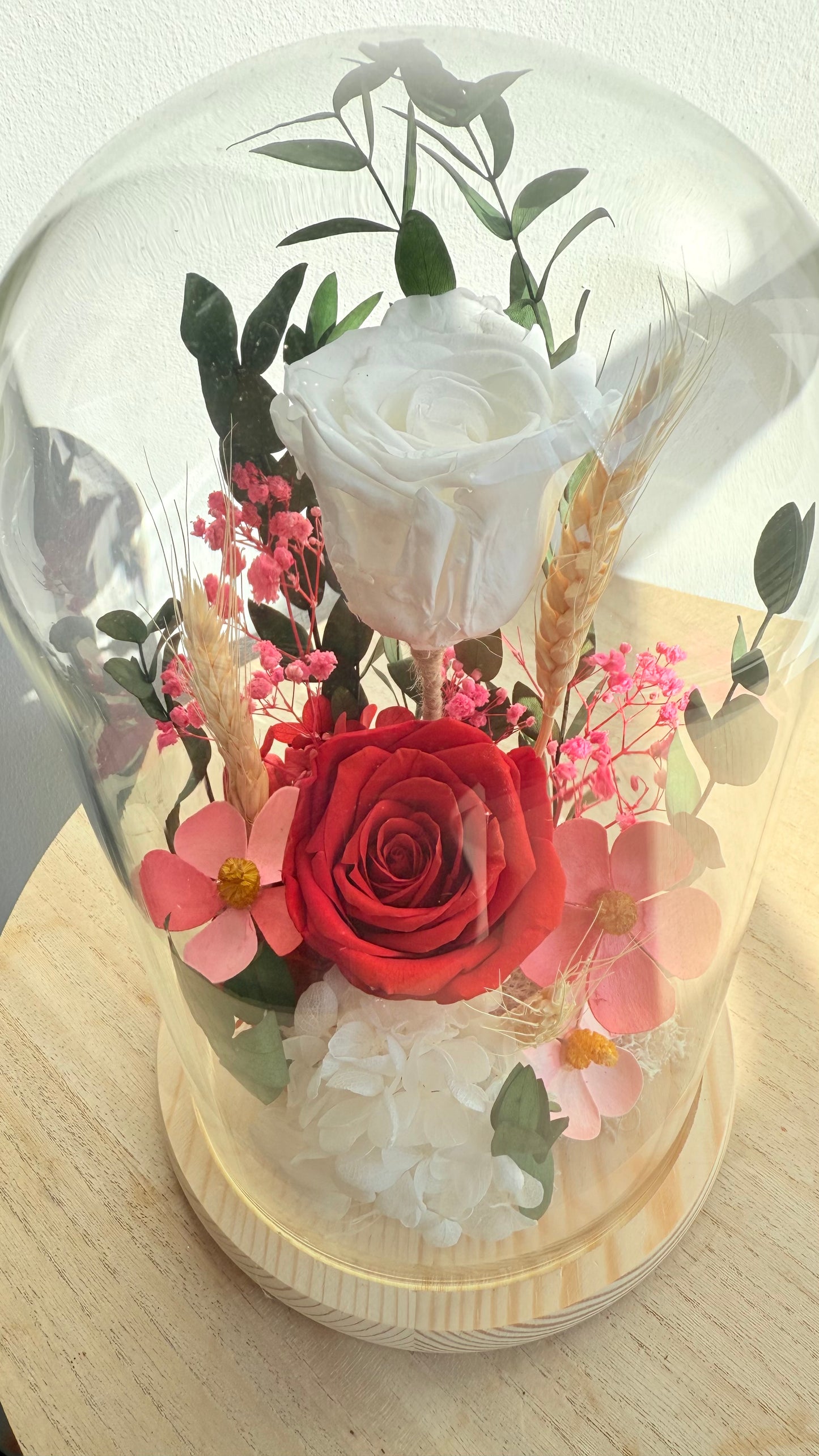 Maxi cloche, 2 Roses éternelles blanche et rouge