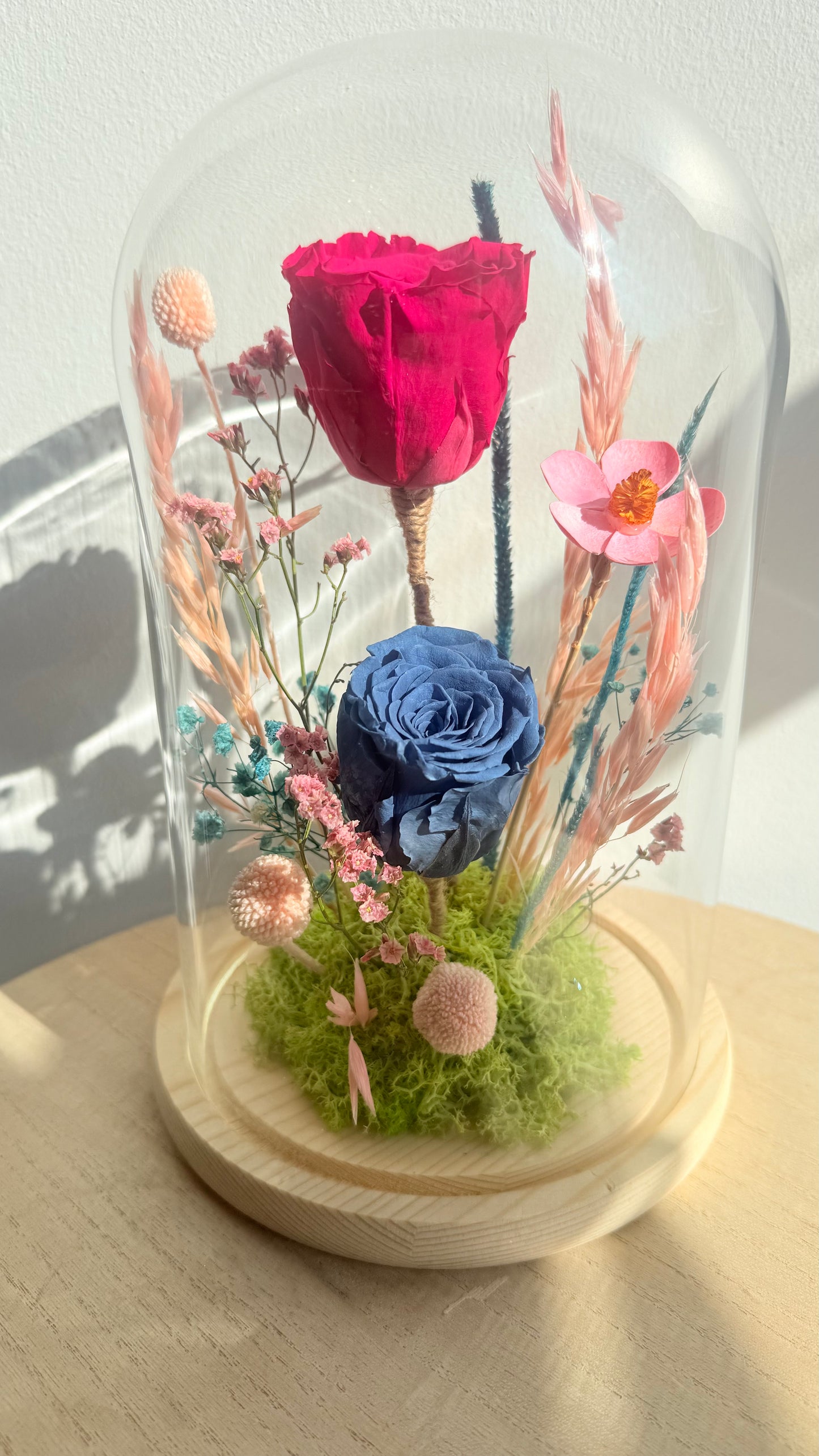 Maxi cloche, 2 Roses éternelles fuchsia et bleu