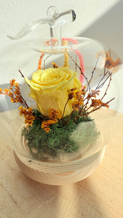 Cloche pomme lumineuse & Rose éternelle jaune