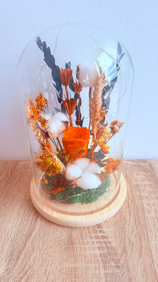 Cloche lumineuse Rose éternelle orange