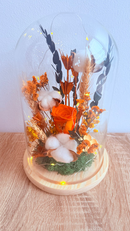 Cloche lumineuse Rose éternelle orange