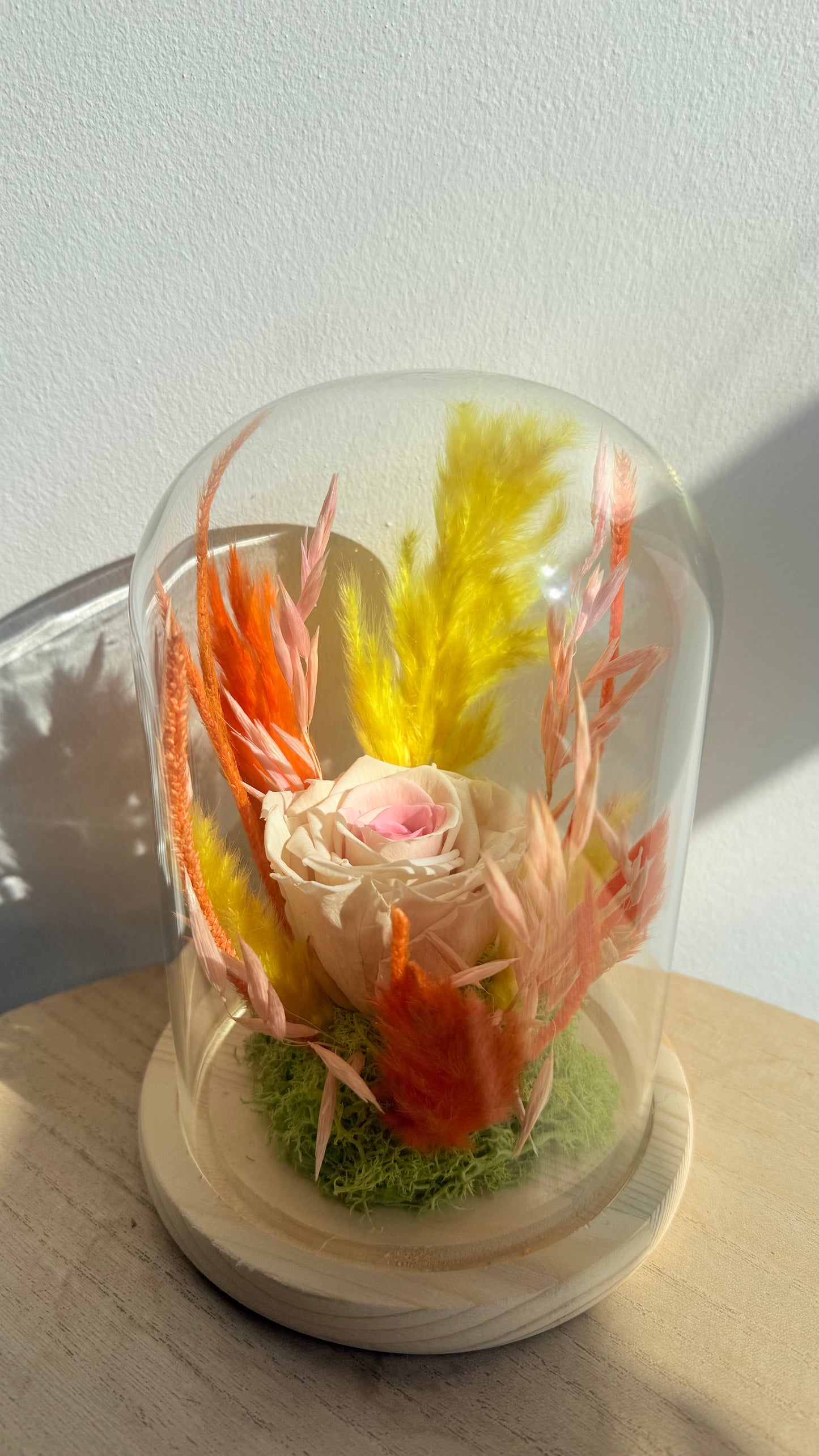 Cloche Rose éternelle bicolore & fleurs séchées