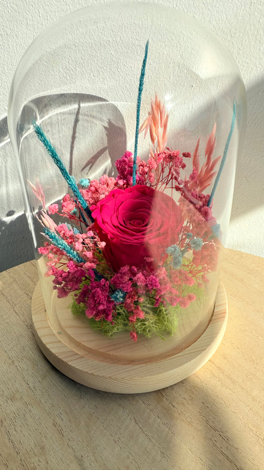 Cloche Rose éternelle Fuchsia