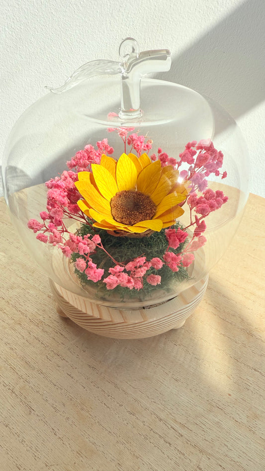 Cloche pomme lumineuse & Tournesol éternel