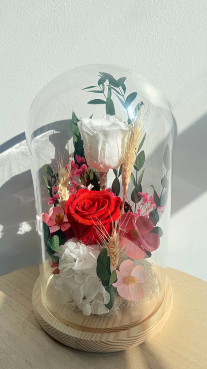 Maxi cloche, 2 Roses éternelles blanche et rouge