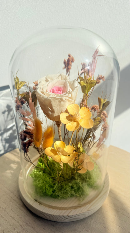 Maxi cloche, Rose éternelle bicolore blanc & rose