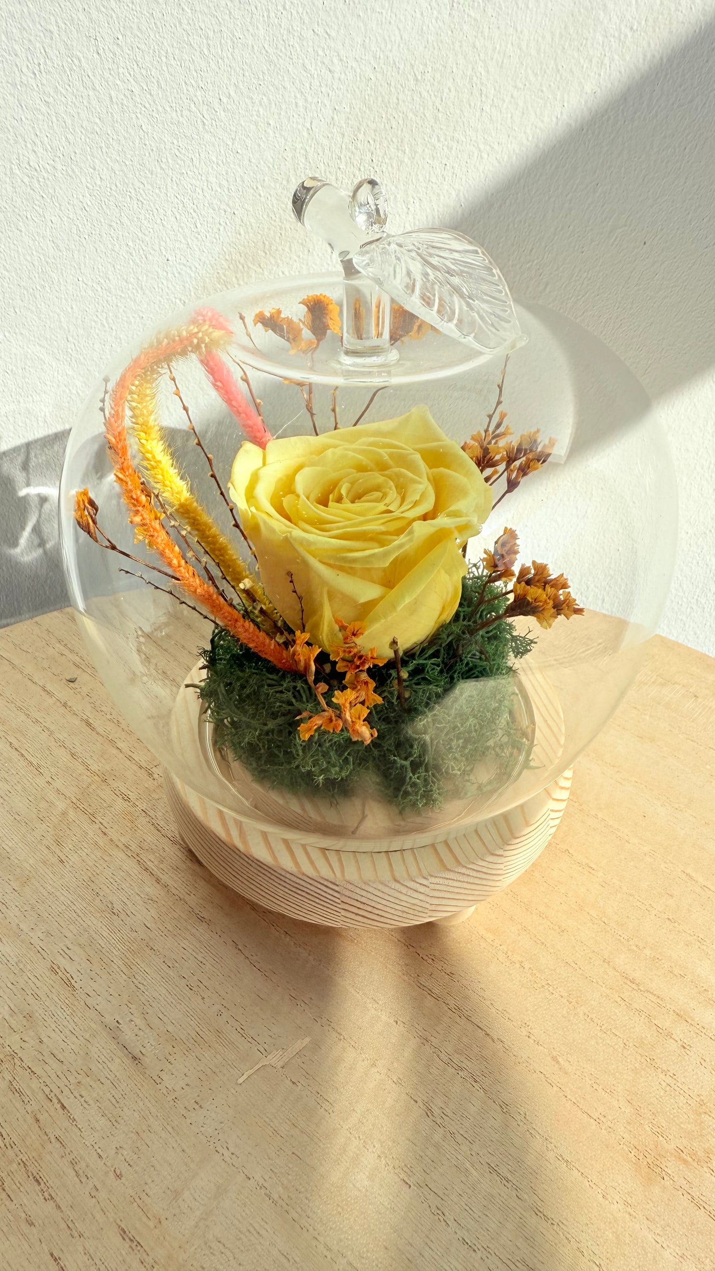 Cloche pomme lumineuse & Rose éternelle jaune