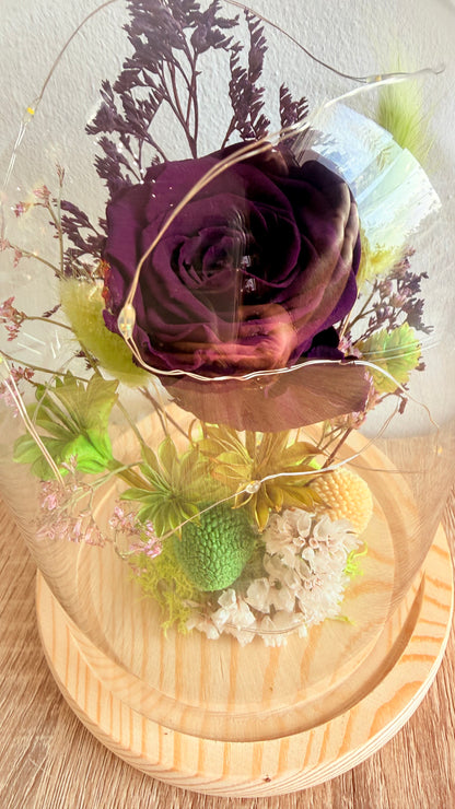 Cloche lumineuse Rose éternelle violette